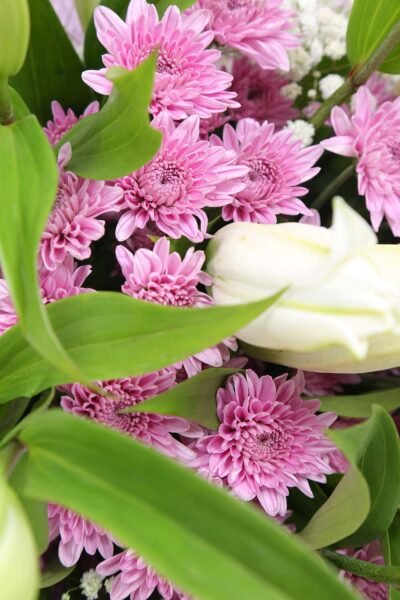 Fresh Flowers White Oriental Lily, Pink Daisy & Gypsophila