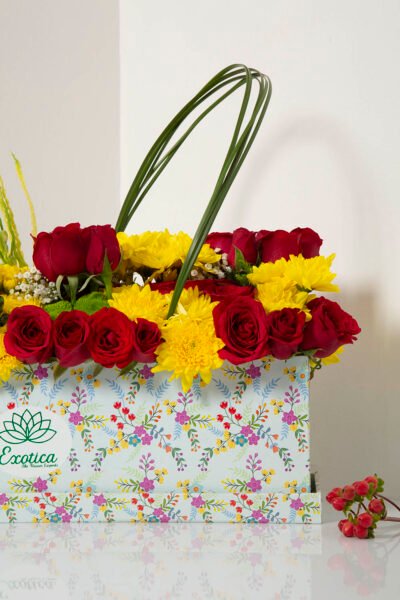 Box Arrangements Big Box of Red Roses, Gypsophila, Yellow & Green Daisy