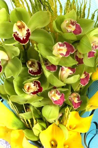 Hand Bunches Yellow Cala Lily & Green Cymbidium Orchids