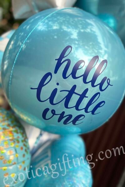 Balloon Arrangements Balloon Bunch Of White Star & Pastel Blue Globe With Noah’s Ark Welcome Baby