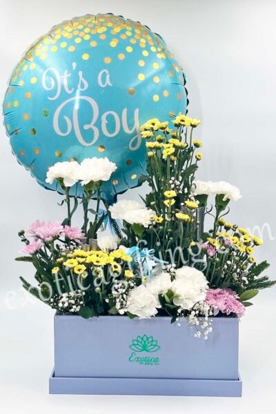 Box Arrangements Box Flower Arrangement of White Carnation & Lilac, Yellow Daisy With Baby Boy Balloon.