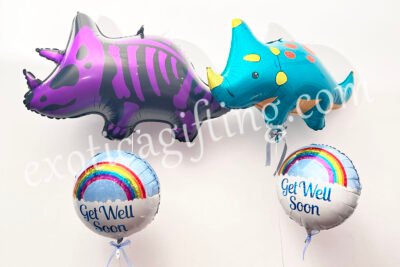 Balloon Arrangements Balloon Bunch Of Triceratops With Get Wll Soon
