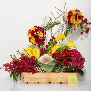 Diwali Flowers Best Diwali Gift Hampers Online 2024