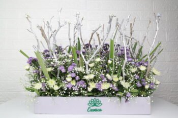 Box Arrangements Luxury Purple Daisy Flower Box